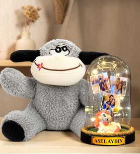 Kişiye Özel 3 Fotoğraflı Yazılı LED Işıklı Fanus ve Peluş Eşek Hediye Seti (unicornlu)