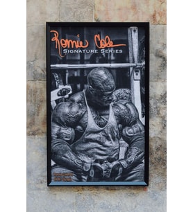 Ronnie Coleman Özel Tasarım MetaFrame Tablo