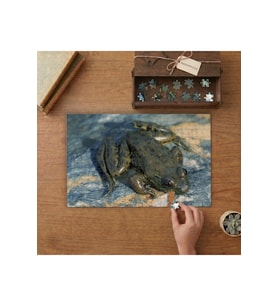 Su Kurbağası Tasarımı 240 parça Ahşap Puzzle Ahşap Kutuda MP05353