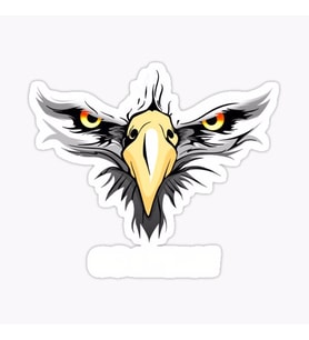 Araba için Kartal Oto Sticker Yapıştırması Etiket  17CM e8