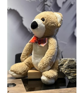 PAPYONLU PELUŞ AYI 40cm