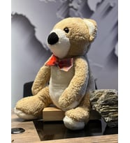 PAPYONLU PELUŞ AYI 40cm