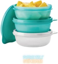 Tupperware Pırıltılı Saklama Ve Servis Kabı 3 Lü Set 300 Ml