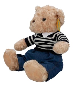 Sevimli Kıyafetli Peluş Ayı 37 CM  Yumuşacık Hediye Ayıcık