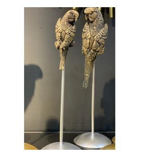 BY ARİ İKİLİ PAPAĞAN BİBLO SET HF320-6