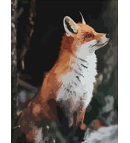 Tilki Sayılarla Boyama Seti 40x50 cm (Tuvale Gerili)