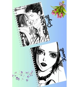 Nana defter seti 2 adet A4 boyutu 21*30 çizgili + kareli 60 syf