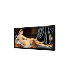 Büyük Odalık Ingres Çerçeveli Mdf Tablo