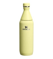 Stanley The All Day Slim Soğuk Su Şişesi 0,60 LT - Pomelo (Sarı)