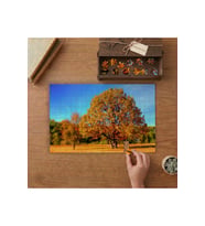 Sonbaharda Ağaçlar Tasarımı 240 parça Ahşap Puzzle Ahşap Kutuda MP02713
