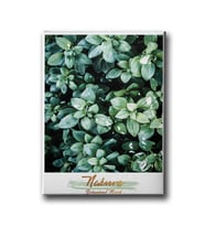 Botanik Canvas Tablo MİND263