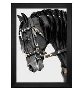 Hayvanlar Temalı Kanvas Tablo 50 x 70 cm Siyah Çerçeve