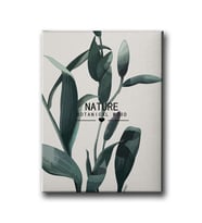 Botanik Canvas Tablo MİND425
