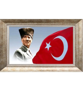 GÜMÜŞ ÇERÇEVELİ TABLO N662