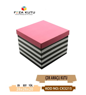 26x26x20 Çok Amaçlı Kutu Karton Kutu Pasta Kutusu (10 Adet)