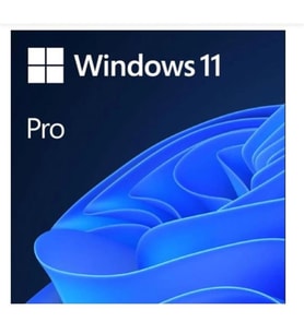 MS WINDOWS 11 PRO 32/64 BIT TR KUTU USB HAV-00159