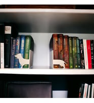Köpek Kitap Tutucu