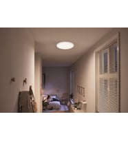 Philips Cl200 Fonksiyonel Tavan Lambası 6W 4000K Gün Işığı Entegre Led (Çok Renkli)