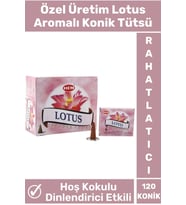 Rahatlatıcı Arındırıcı İyileştirici Ev Ofis Meditasyon Yoga Chakra Pozitif Enerji 120 Konik Tütsü