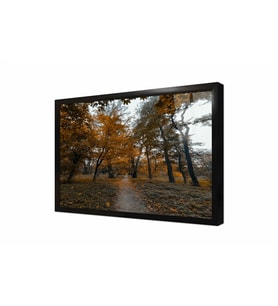 Tablosan Sonbahar Ağaçları Çerçeveli Cam Tablo