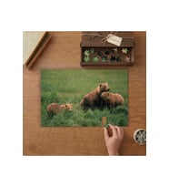 Dişi Ayı Ve Ayı Yavruları Boz Ayılar Tasarımı 240 parça Ahşap Puzzle Ahşap Kutuda MP06146
