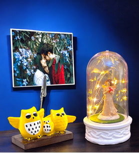 Fotoğraflı Hediye Seti  Led Işıklı Fanus & Baykuş Temalı Fotoğraf Tutucu  Kişiye Özel Hediye Seti (Model 2)