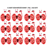 Uğur Böceği Kostüm Seti - Kanat, Taç, Asa 12 Adet