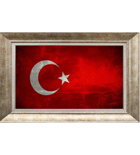 GÜMÜŞ ÇERÇEVELİ TABLO N421