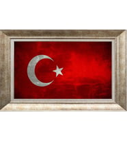 GÜMÜŞ ÇERÇEVELİ TABLO N421