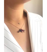 Muhabbet kuşları renkli Rose Gümüş kolye (Karışık)