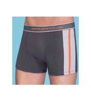 Mulvxbrf Brf02 Erkek  Boxer 1080 (Mulvix)