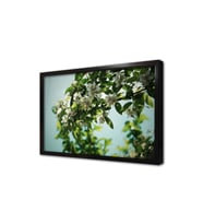 Dalında Çiçekler Çerçeveli Mdf Tablo