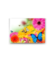 DBSanatevi Kelebek Papatya Tablo 60 X 80 Cm