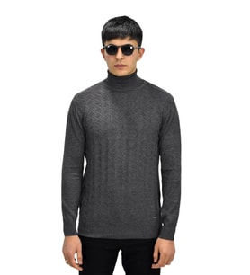 Erkek Spor Balıkçı Yaka Kazak R22507 BGL-ST03177 (Antrasit)