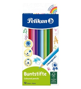 12 li Kuru Boya Kalemi Karton Kutu 1 Paket 12 Renk Kuruboya  Tam Boy Renkli Kalem