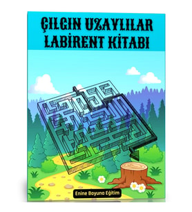 Çılgın Uzaylılar Labirent Kitabı