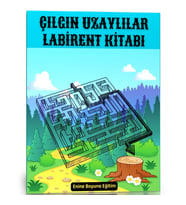 Çılgın Uzaylılar Labirent Kitabı