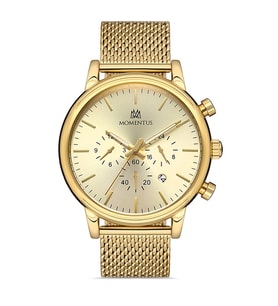 MOMENTUS CC235G-08SG ERKEK KOL SAATİ