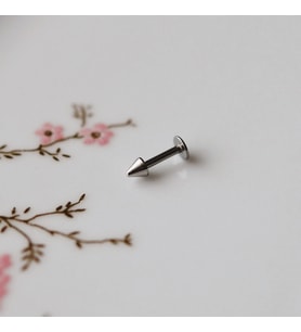 Cerrahi Çelik Sivri Uçlu Tragus Piercing Helix Kıkırdak 6 mm Gümüş Renk (Çok Renkli)