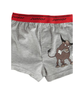 Miorre Erkek Çocuk Boxer (STD)