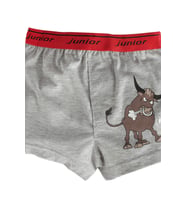 Miorre Erkek Çocuk Boxer (STD)