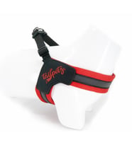 Tailpetz V-Harness Göğüs Tasması Kırmızı XS