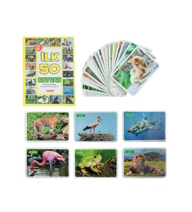 1352FlashCardsİlk50Hayvan-Dıytoy