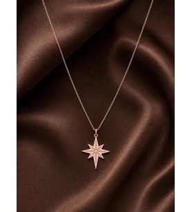 Kişiye Özel 925 Ayar Gümüş Kutup Yıldızı Model Kolye (Rose)