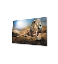 Aslan Cam Tablo 4mm Dayanıklı Temperli Cam (Çok Renkli)