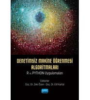 Denetimsiz Makine Öğrenmesi Algoritmaları: R ve Python Uygulamaları