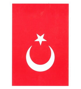 Atatürk Bayrak Çıkartma 13X18 10Lu