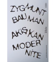 Akışkan Modernite