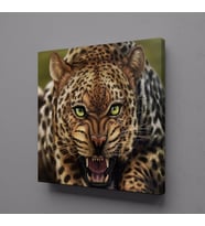 LEOPAR KANVAS TABLO 25x25cm (Karışık)