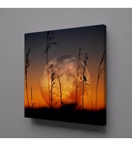 GÜN BATIMI MANZARA KANVAS TABLO 40x40cm (Karışık)